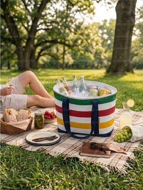 Hudson's Bay HBC Stripes Large Insulated Canvas Cooler Bag